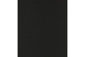 Richard Serra