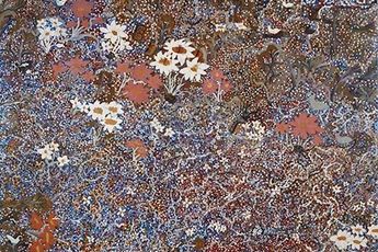 Mavis Ngallametta contemporary artist