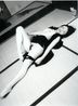 Kaori by Nobuyoshi Araki contemporary artwork Photography