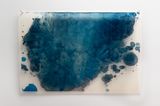Ice has a memory by Janet Laurence contemporary artwork photography