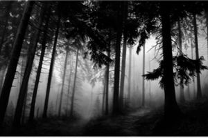 Robert Longo
