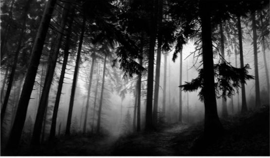 Fairmount Forest by Robert Longo contemporary artwork Print