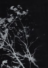 Usnea by Chen Xiaoyi contemporary artwork print works on paper