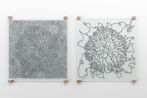 Joyce Hinterding contemporary artist
