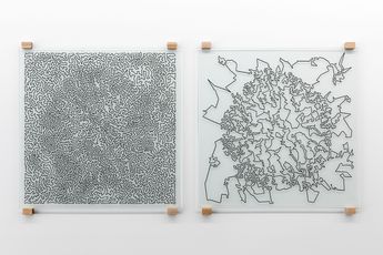Joyce Hinterding contemporary artist