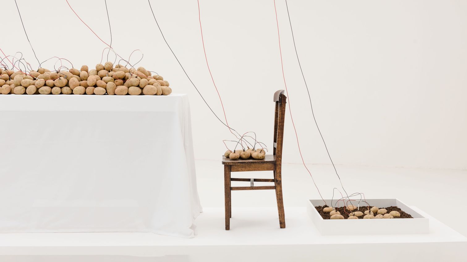 The 32nd Bienal de São Paulo: Live Uncertainty