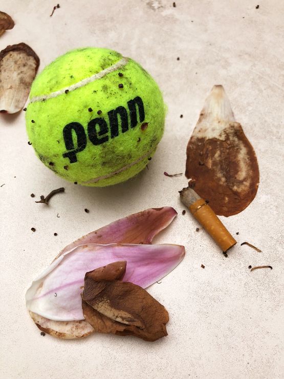 Penn and Wet Butt by Roe Ethridge contemporary artwork Photography