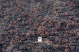 Sentry post China-North Korea border from Most People Were Silent by Sim Chi Yin contemporary artwork photography