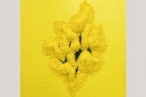 Wu Wei