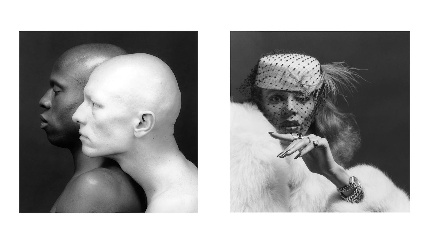 Robert Mapplethorpe
