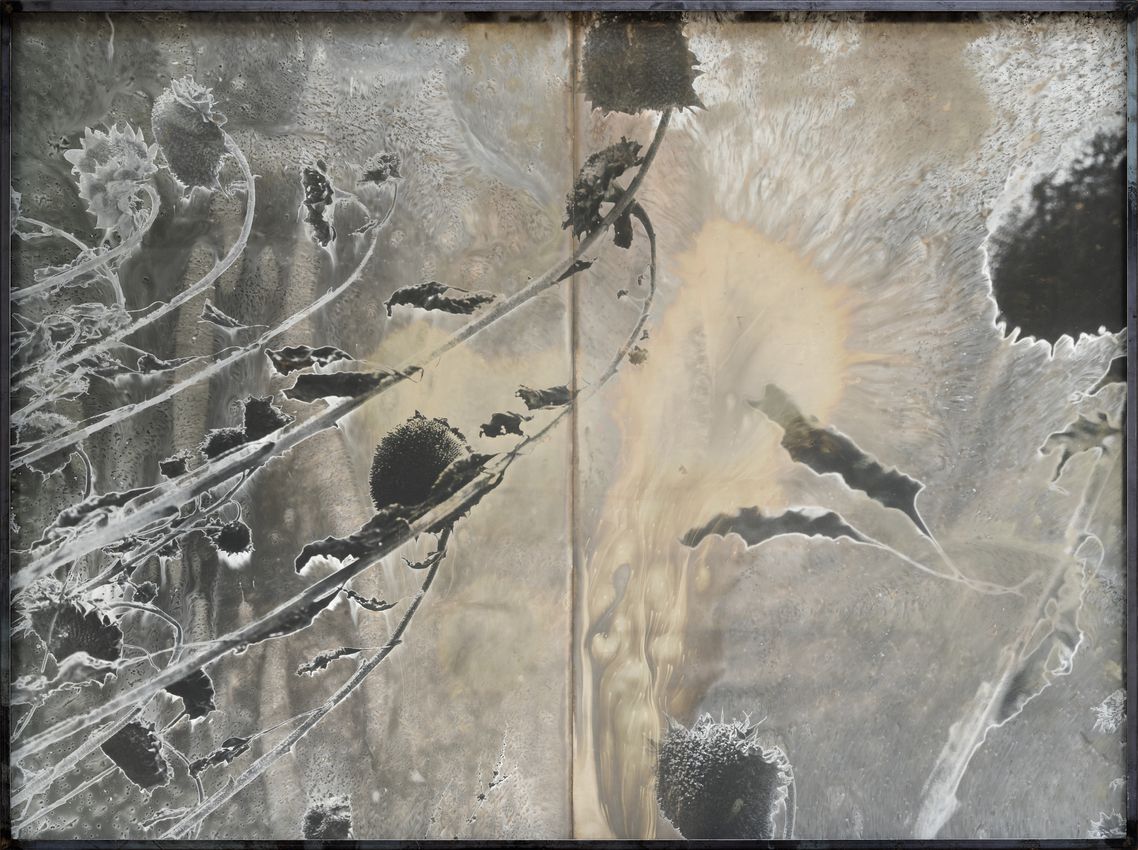 Anselm Kiefer
