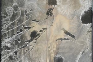 Anselm Kiefer