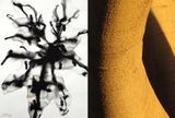 Nature series 3  13 by Barbara Edelstein contemporary artwork drawing painting works on paper