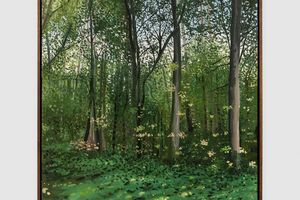 John Hodgkinson