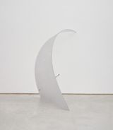 Arruaca by Iole De Freitas contemporary artwork sculpture