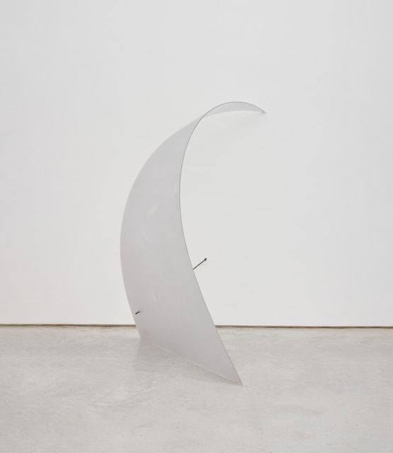 Arruaca by Iole De Freitas contemporary artwork Sculpture