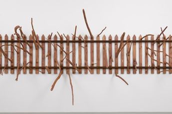 Hugh Hayden contemporary artist