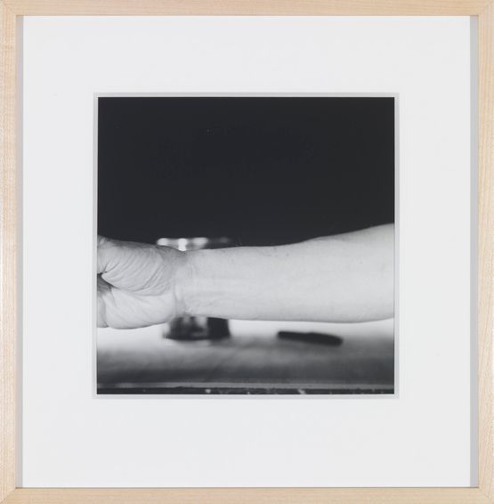 Self-Portrait of My Forearm - 2014 by Ed Ruscha contemporary artwork Photography