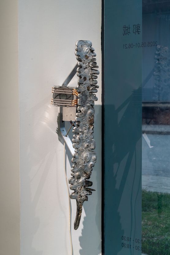 Fog Basker 3669 by Guo Cheng contemporary artwork Mixed Media