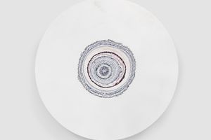 Pierre Huyghe