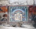 Bacchus in Attendance House of Neptune and Amphitrite Herculaneum by Karen Knorr contemporary artwork Photography