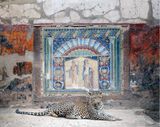Bacchus in Attendance House of Neptune and Amphitrite Herculaneum by Karen Knorr contemporary artwork photography print