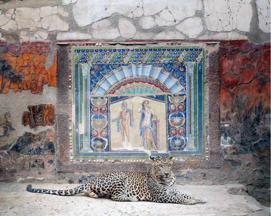 Bacchus in Attendance House of Neptune and Amphitrite Herculaneum by Karen Knorr contemporary artwork Photography