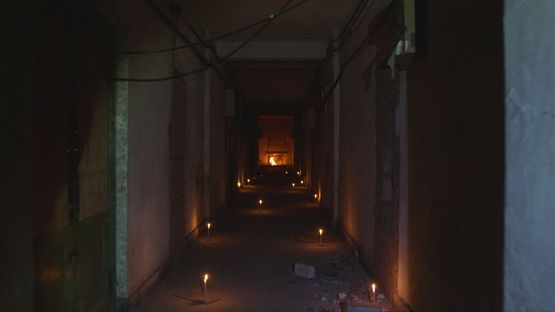 Obsessions by Wang Tuo contemporary artwork Moving Image