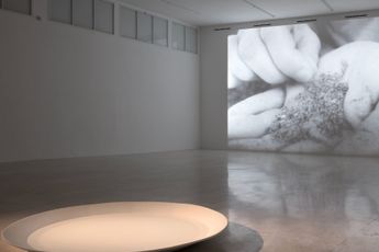 Laura Grisi contemporary artist