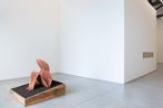 Gabriel Chaile contemporary artist