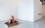 Sintetica by Gabriel Chaile contemporary artwork sculpture