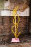 National Geographic by Simon Periton contemporary artwork Painting