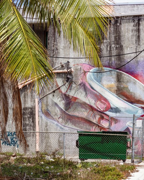 Cup Graffitti by Anastasia Samoylova contemporary artwork Photography