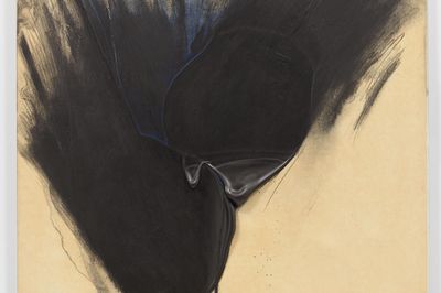 Takesada Matsutani at FIAC