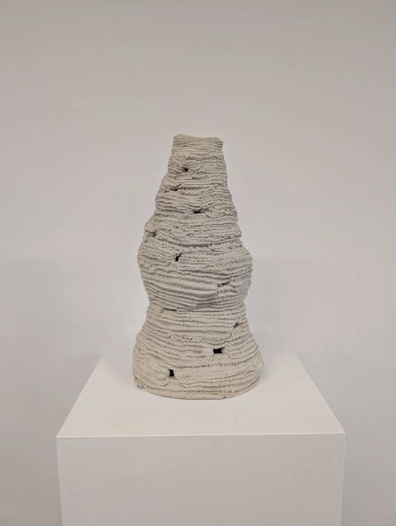 Untitled from the series Cupinzeiros by Lidia Lisboa contemporary artwork Sculpture