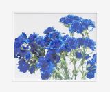 Carnations Composition 3 by Richard Maloy contemporary artwork photography