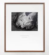 Ovolajel xchiuk choy Sowing and fishing by Maruch Santiz Gomez contemporary artwork print