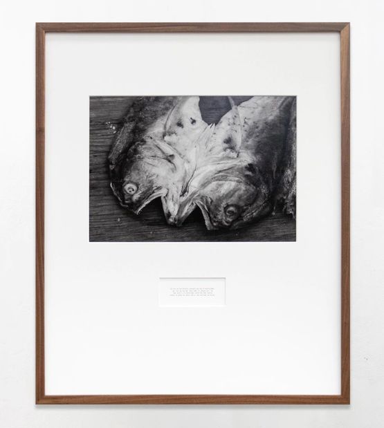 Ovolajel xchiuk choy Sowing and fishing by Maruch Santiz Gomez contemporary artwork Print
