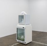 How will we replicate life on Earth and Mars by Alicia Frankovich contemporary artwork sculpture