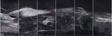 Antiquity - Desert by Zhao Zhao contemporary artwork drawing works on paper