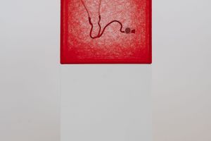 Chiharu Shiota