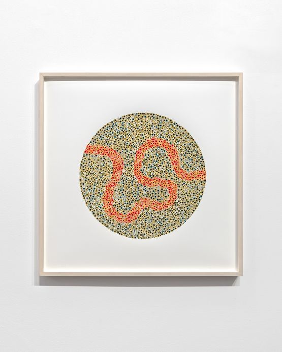 Colourblind Drawing C.L. by Stefana McClure contemporary artwork Works on Paper