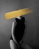 Hivernacle Chamomille by Andrea Torres Balaguer contemporary artwork Photography