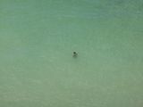 Untitled July 20 2013 410PM by Richard Misrach contemporary artwork photography