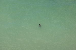 Richard Misrach