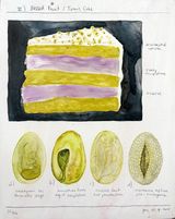 Blessed Fruit  Tannis Cake by Bianca Kennedy contemporary artwork drawing