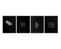 Breath Count 55 by Ayesha Sultana contemporary artwork Works on Paper