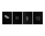 Breath Count 55 by Ayesha Sultana contemporary artwork works on paper