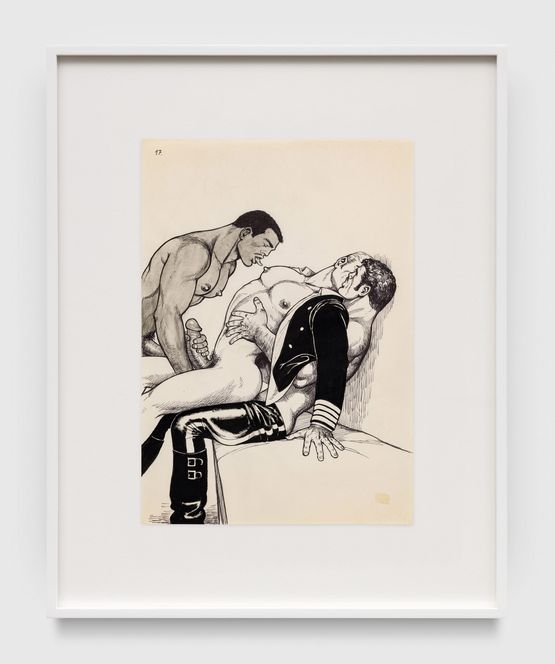Untitled from Kake vol. 19 - Curious Captain by Tom of Finland contemporary artwork Works on Paper