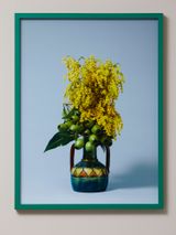 The Banshee Golden Wattle Acacia pycnantha by Ann Shelton contemporary artwork print
